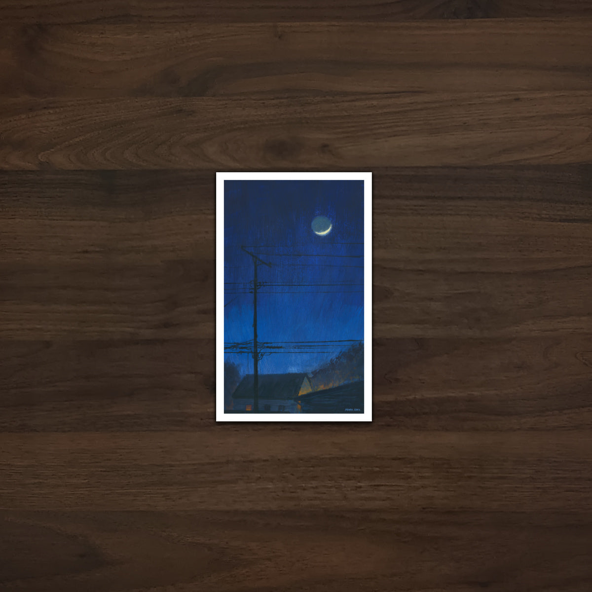 Lunar Lines- Archival Prints