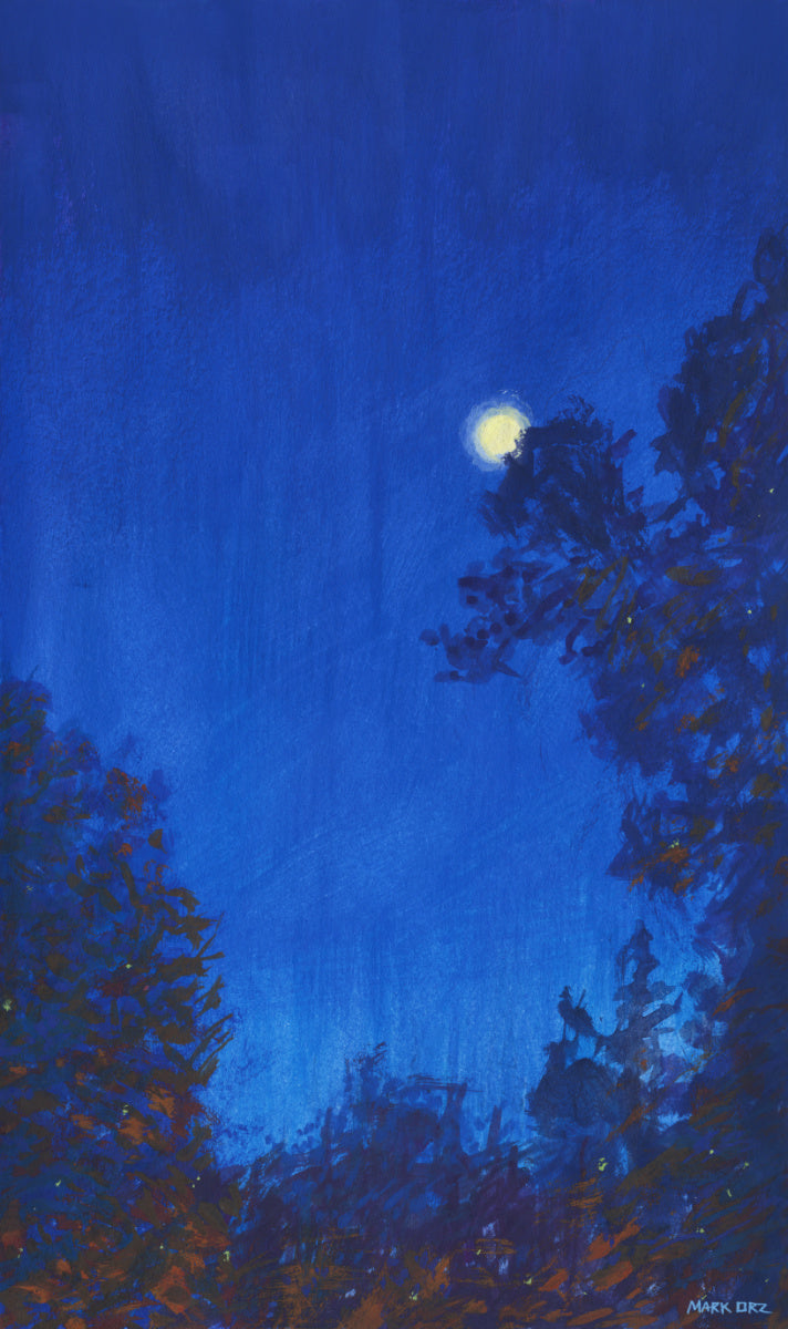 Calm Night