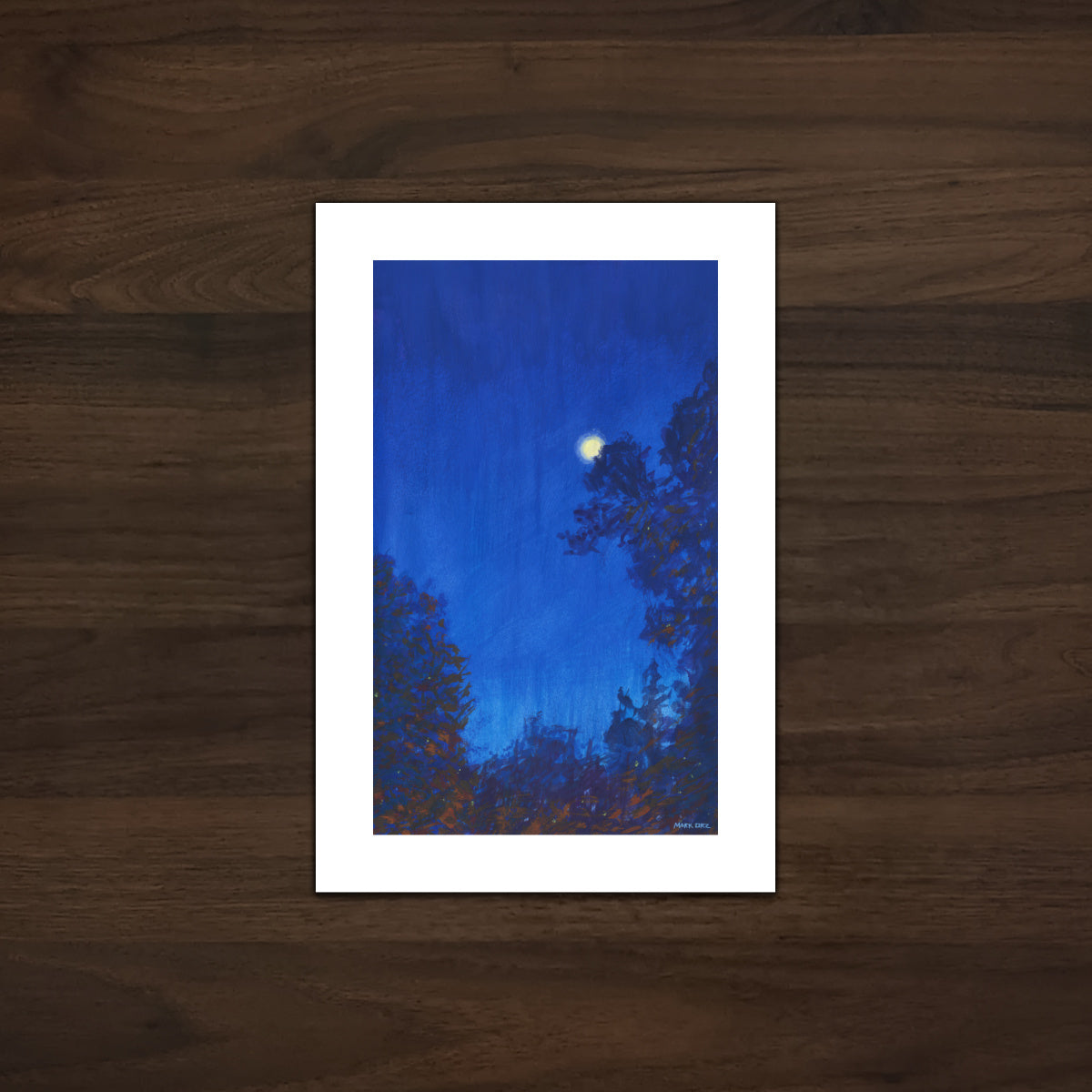 Calm Night- Archival Prints