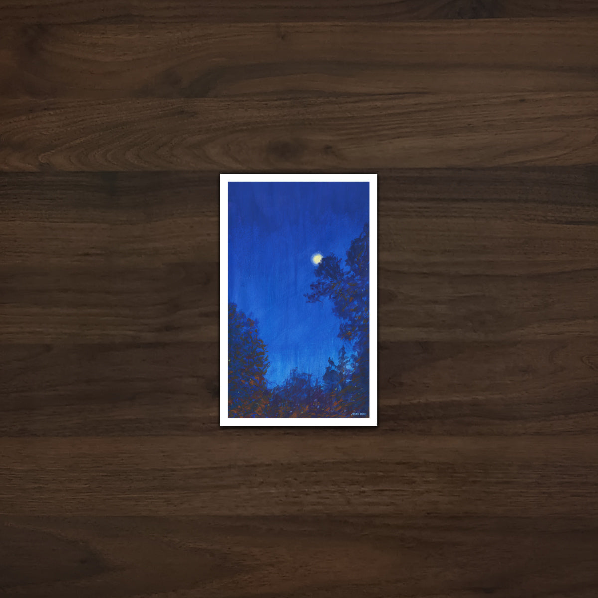 Calm Night- Archival Prints