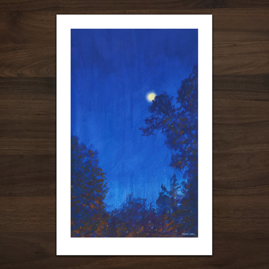 Calm Night- Archival Prints